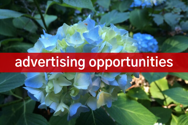 Advertising Opportunities Portugal in Vancouver Portuguese Advertising