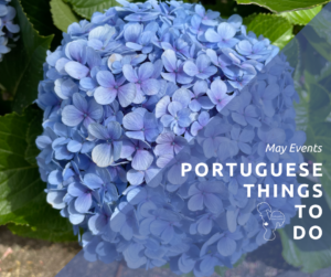 2025 May Newsletter