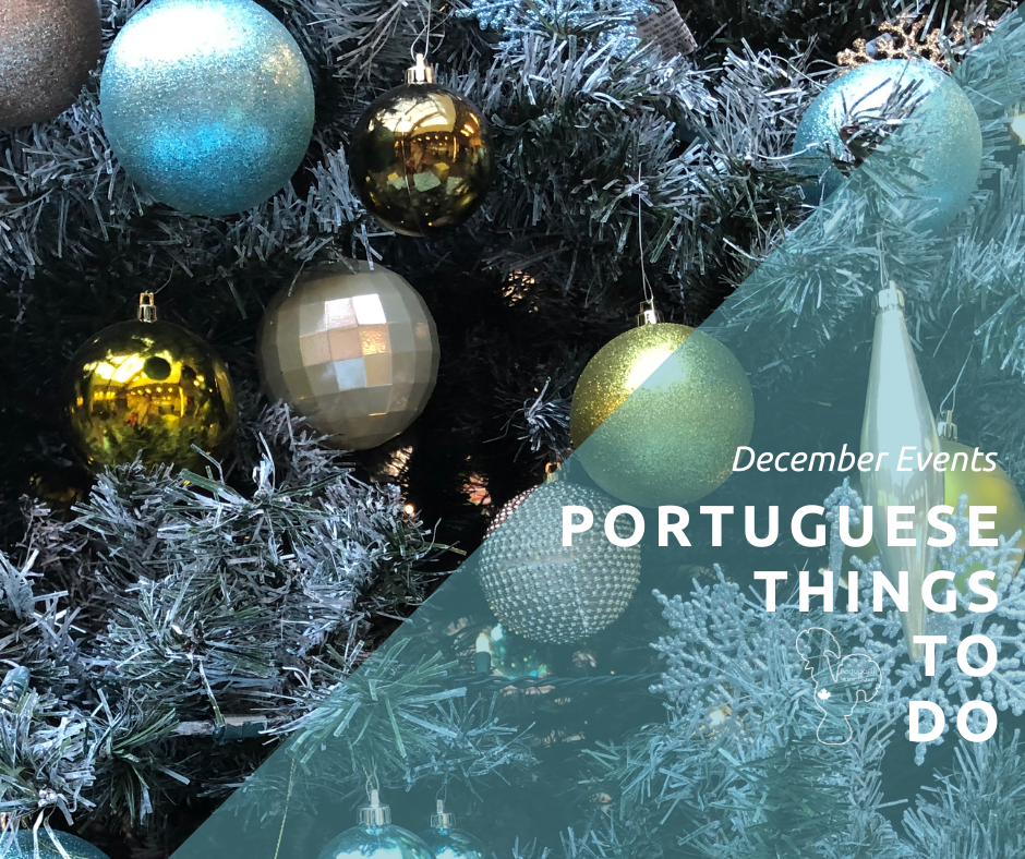 2025 December Newsletter