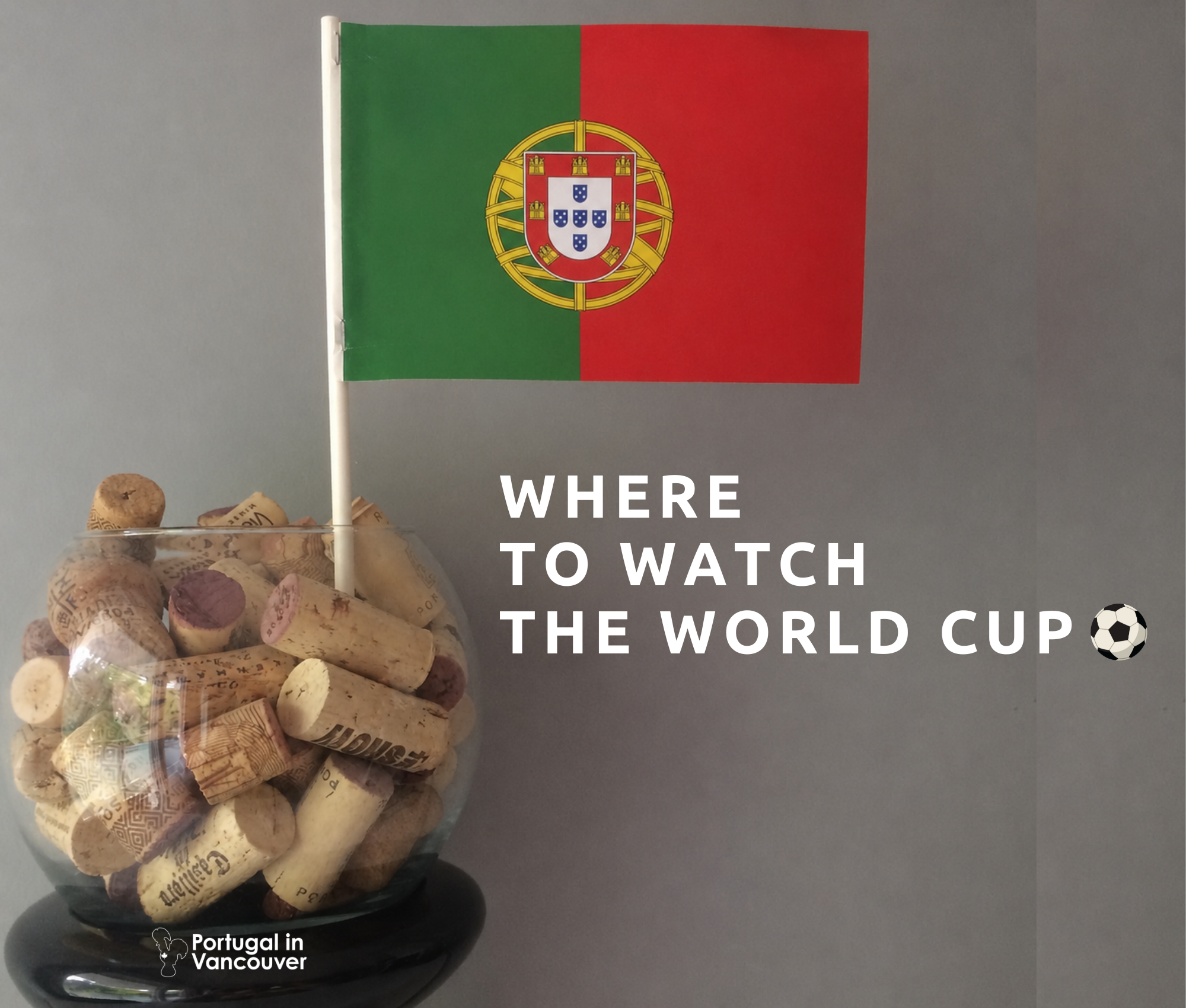 World Cup 2026